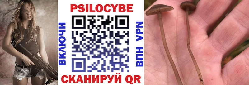 Галлюциногенные грибы ЛСД  Нововоронеж 