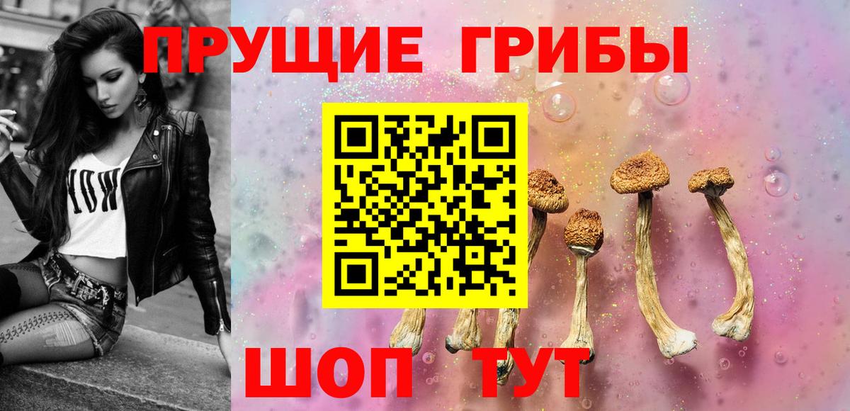 закладки  Вход с VPN  Псилоцибиновые грибы Cubensis  Нововоронеж  Галлюциногенные грибы Cubensis 